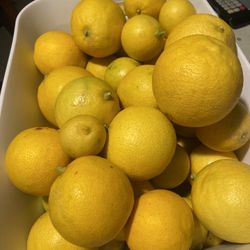 Tengo Uvas recién Cortada 5 Libras Por 10.00 