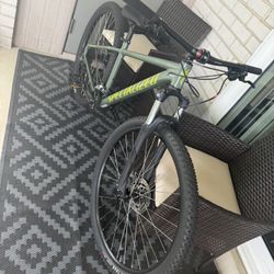 29” Rockhopper Specialized Bike