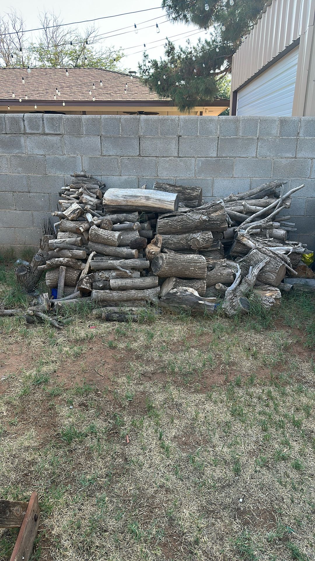 Wood Pile For Free. Some Or All