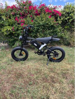 Electric bike
