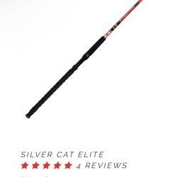 Catfish Rod  Spinning