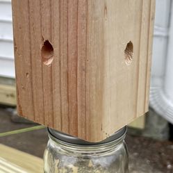 Carpenter Bee Trap Traps for Bugs Outdoor Garage Shed Deck