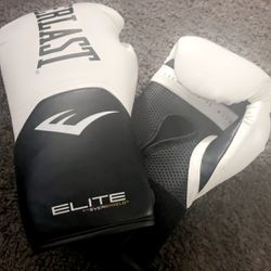 Everlast Boxing Gloves 