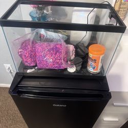 Fish Tank Starter 