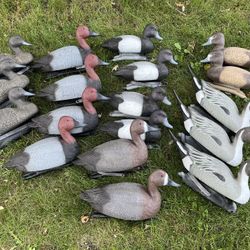 Lot Of 18 Duck Decoys, Ex. Condition 