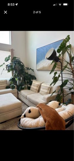 Cream Colored Couch