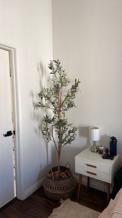 6ft Faux Olive Tree