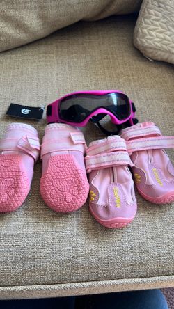 Dog shoes and goggles