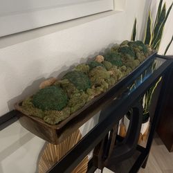 Moss Tray