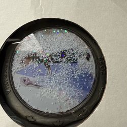 Frozen Collection Run Disney  Medals