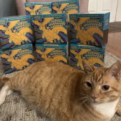 Pokemon Ascended Heroes ETB