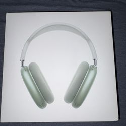 Apple Headphones 