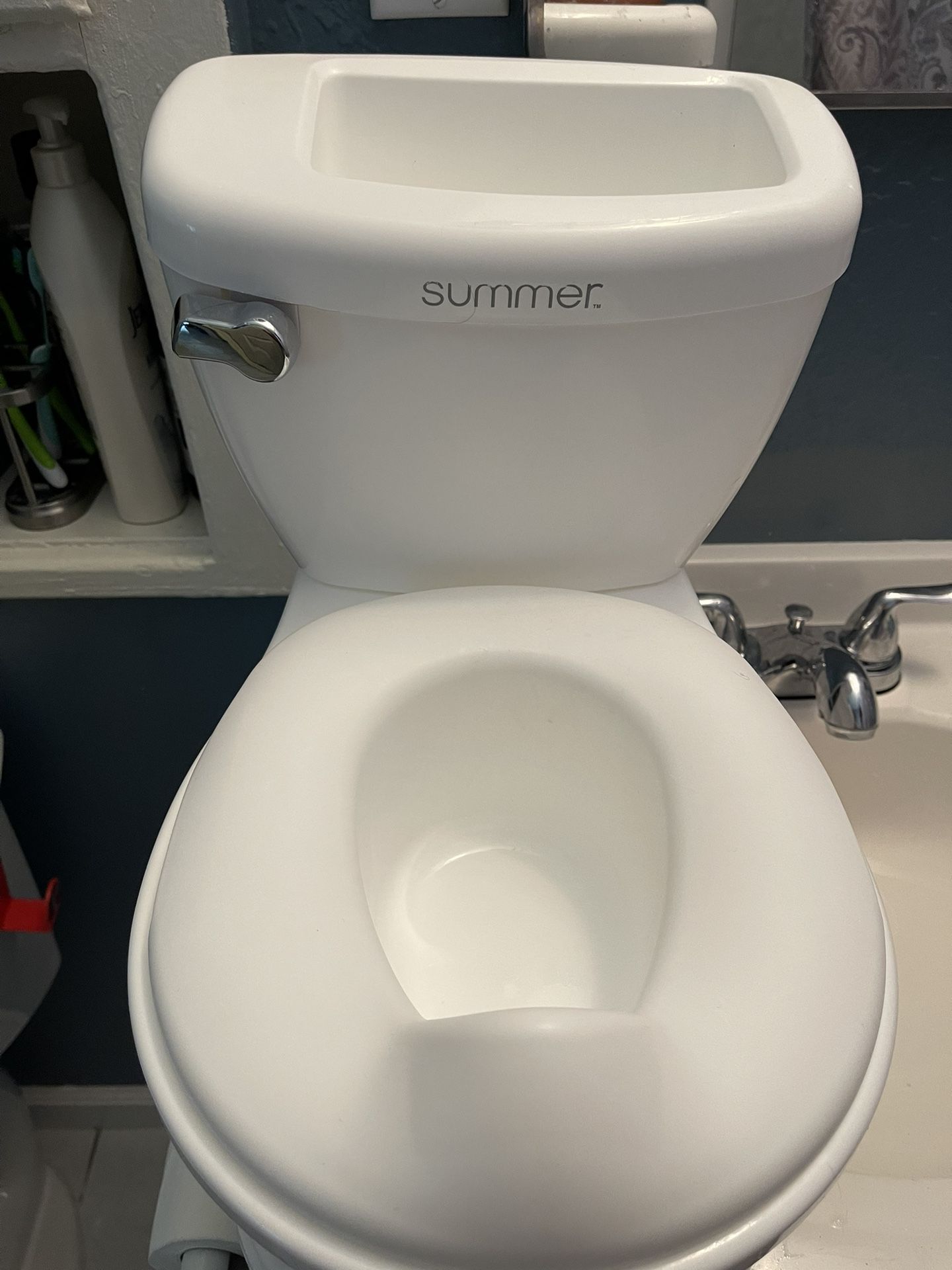 Summer Potty Training Toilet