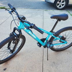 Schwinn Bicycle 
