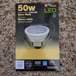 Brand New 50w 500 Lumen Led Flood Light."CHECK OUT MY PAGE FOR MORE DEALS "