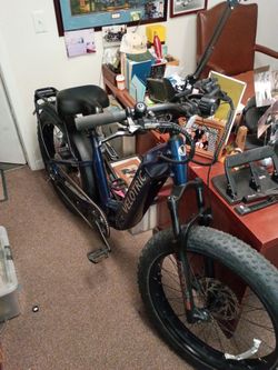 E bike