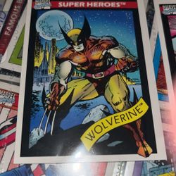 Wolverine