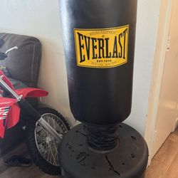 Everlast Bunching Bag