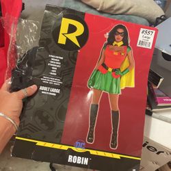 Womens Robin Costume