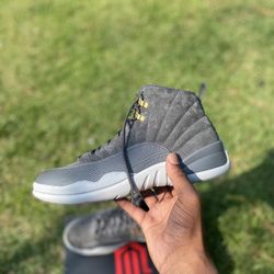 Dark greys Jordan 12s 