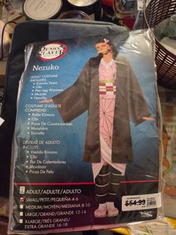 Demon Slayer costume