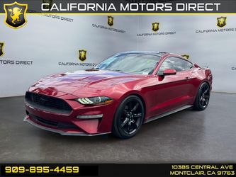 2019 Ford Mustang