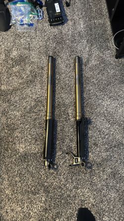 2025 stock surron lbx forks.
