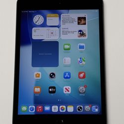 Apple iPad Mini 5 5th Generation  7.9” 64GB Wi-Fi + UNLOCKED Cellular Latest IOS 26 Tablet