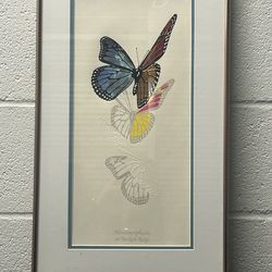 Framed Butterfly Print - Metamorphosis on Beckett Ridge