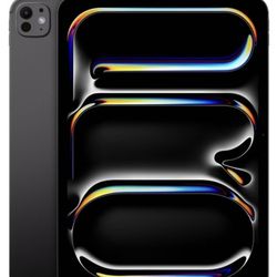 iPad Pro 11 inch / 256GB / WiFi with Apple Pencil pro