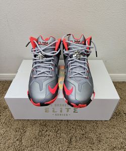 Lebron's Size 10.5