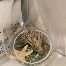 Hanging Decorative   Beach Scene 