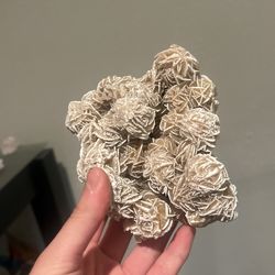 Desert Rose Selenite Crystal