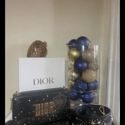 Dior Cosmetic Bag 