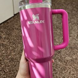 Punch Shimmer 40oz Pink Stanley Cup