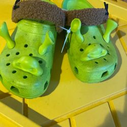 Shrek crocs 