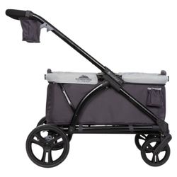  Stroller Wagon 2-in-1 Expedition Baby Trend