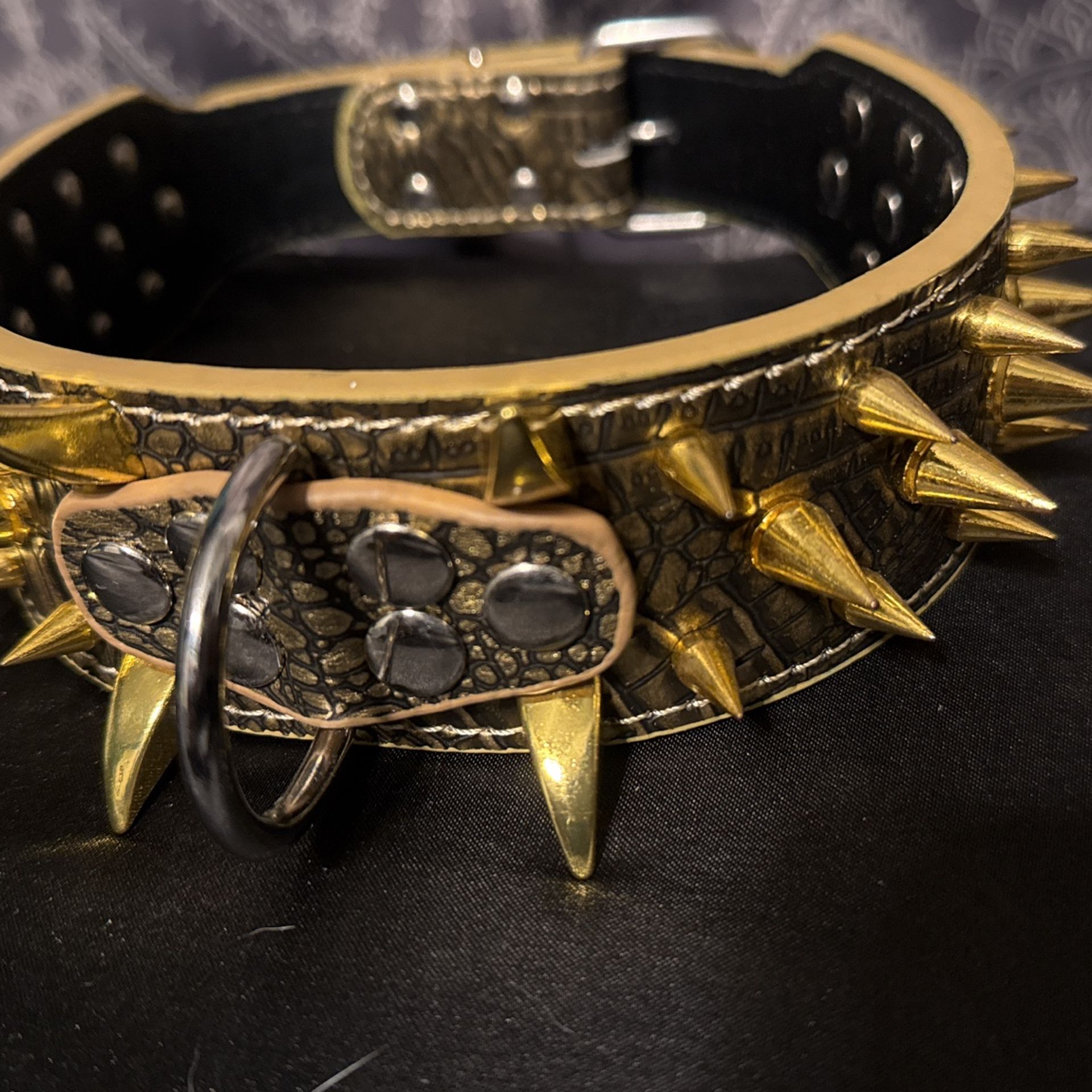 Spiked Dog Collar
