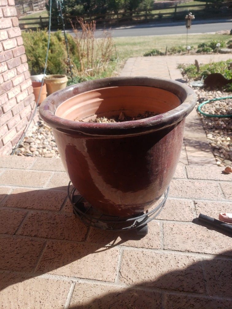 Plant Pot