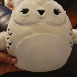 Hedwig The Harry Potter Owl