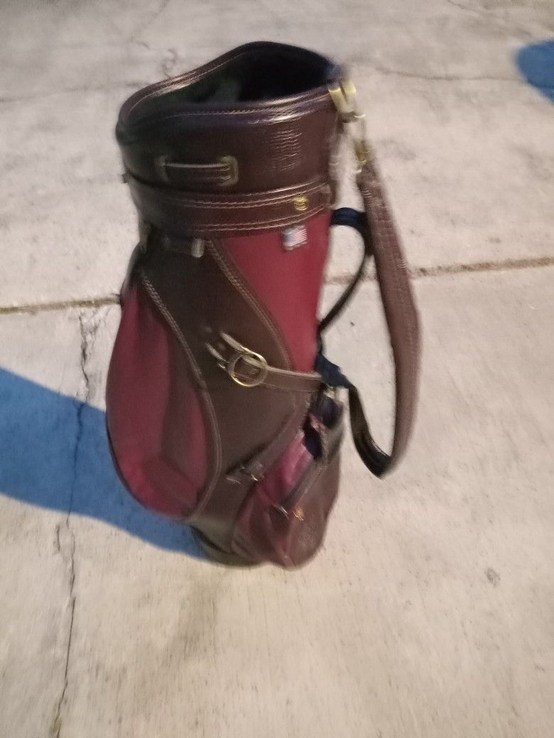Gemini Vintage Leather Golf Bag