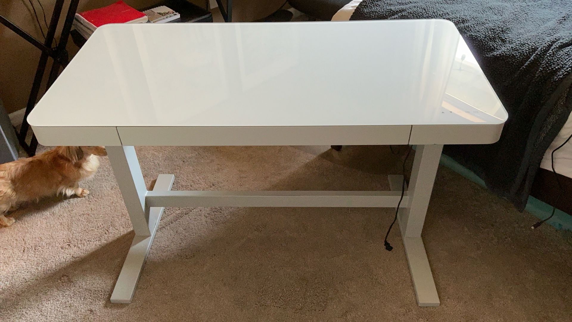 Electric Standing Desk – White Glass Top, Adjustable Height