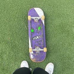 Skateboard Complete