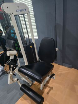 Quantum Leg Extension and calf rise machine