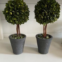 Set De 2 Topiary 