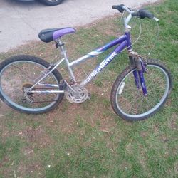 Roadmaster Mountain Sport 24 Inch Mountain Bike 