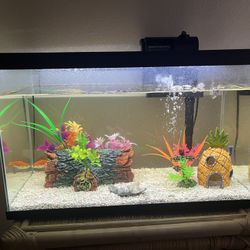 Fish Tank