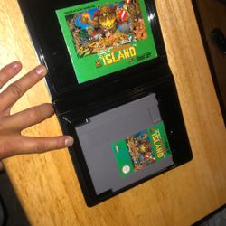 Adventure Island 