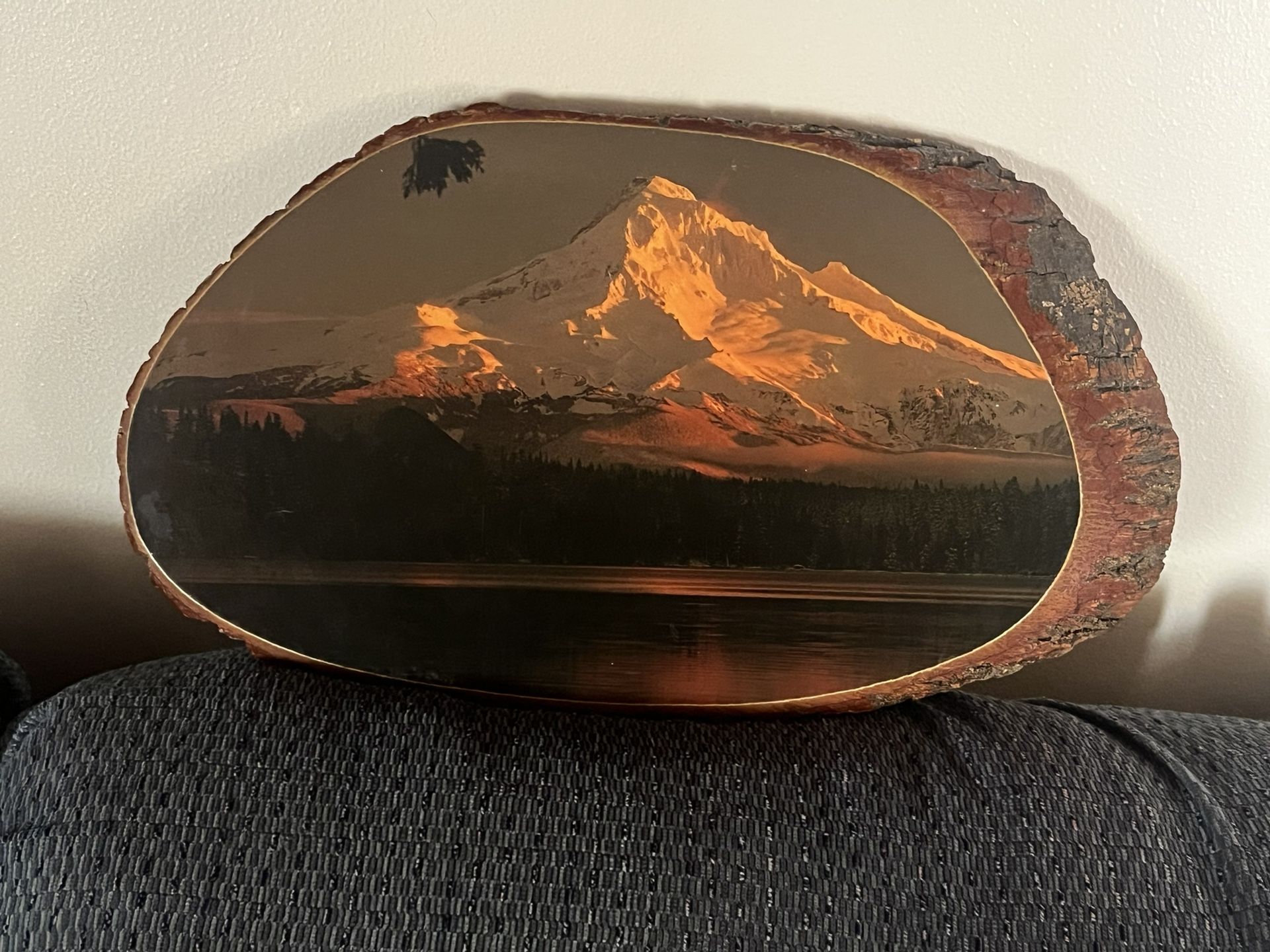 Snow Mountain Picture On Tree Trunk