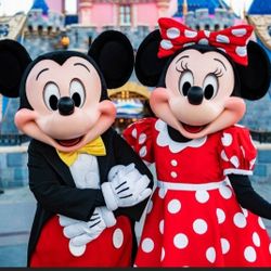 Disneyland 1 day  1 park tickets *not park hopper not fastpass 